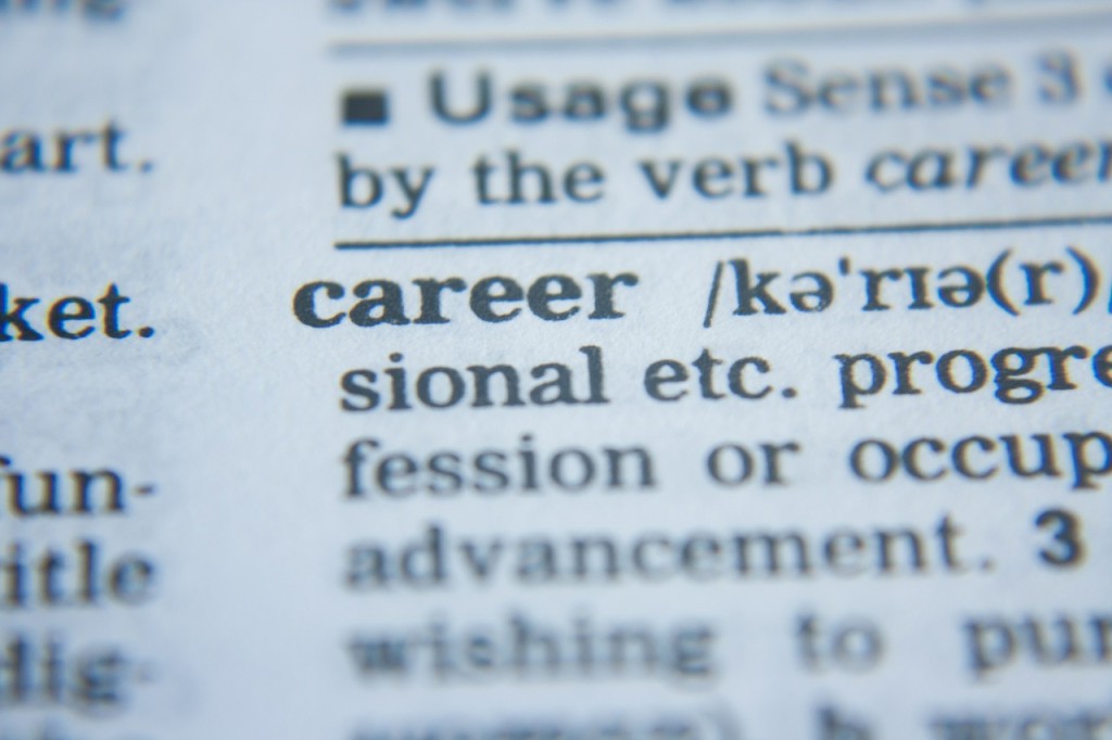 Career Definition